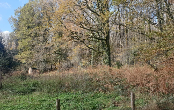 Maison CHATEAUNEUF-LA-FORET (87130)  173 m2 199 000 € 