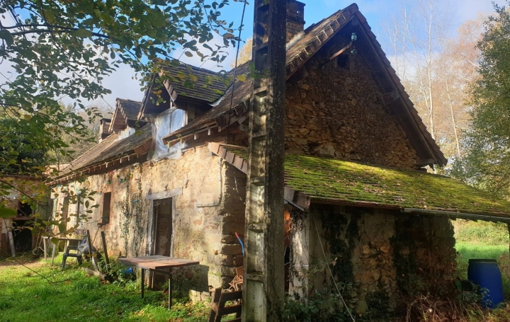 Maison CHATEAUNEUF-LA-FORET (87130)  173 m2 199 000 € 