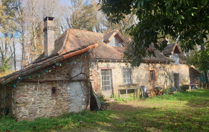 Maison CHATEAUNEUF-LA-FORET (87130)  173 m2 199 000 € 