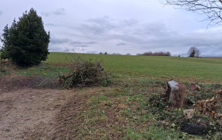 Maison CHATEAUNEUF-LA-FORET (87130)  99 m2 77 000 € 