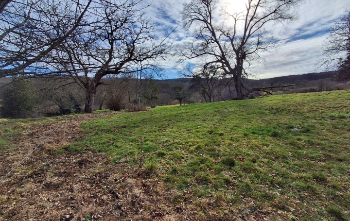 Maison CHATEAUNEUF-LA-FORET (87130)  51 m2 77 000 € 