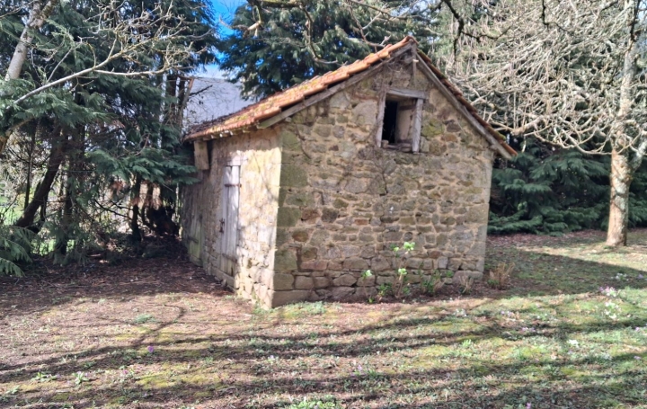 Maison DOMPS (87120)  101 m2 88 000 € 