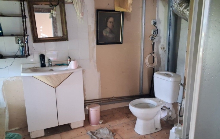 Maison SAINT-GENEST-SUR-ROSELLE (87260)  80 m2 44 000 € 