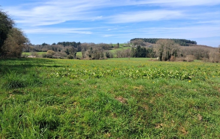 Terrain NEUVIC-ENTIER (87130) 0 m<sup>2</sup> 18 000 € 