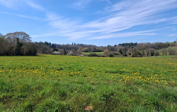 Terrain NEUVIC-ENTIER (87130)   18 000 € 