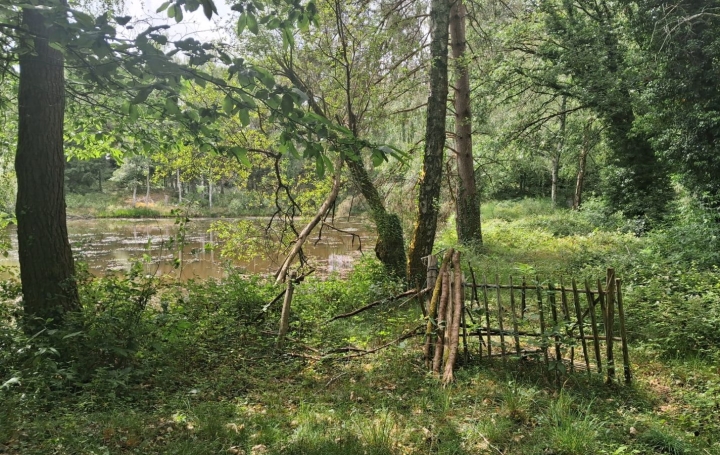 Terrain RILHAC-LASTOURS (87800)   28 000 € 