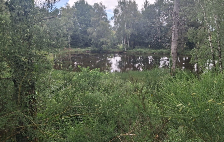 Terrain RILHAC-LASTOURS (87800)   28 000 € 