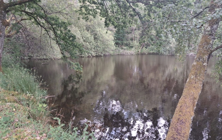 Terrain RILHAC-LASTOURS (87800) 0 m<sup>2</sup> 28 000 € 