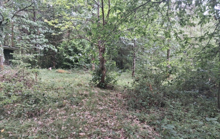 Terrain RILHAC-LASTOURS (87800)   28 000 € 