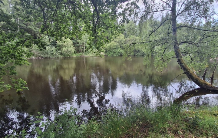 Terrain RILHAC-LASTOURS (87800)   28 000 € 