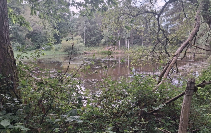 Terrain RILHAC-LASTOURS (87800)   28 000 € 