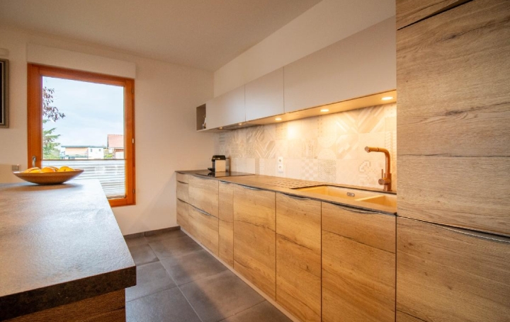 5 Pièces ANTHY-SUR-LEMAN (74200)  101 m2 599 500 € 