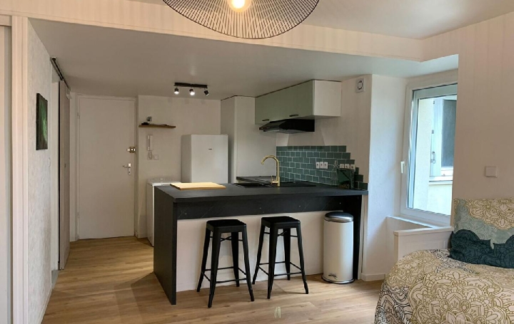 1 Pièce NANTES (44100)  26 m2 630 € 