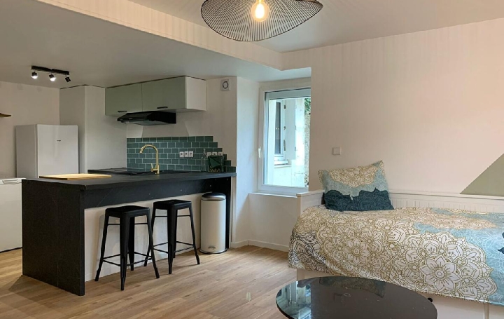 1 Pièce NANTES (44100)  26 m2 600 € 