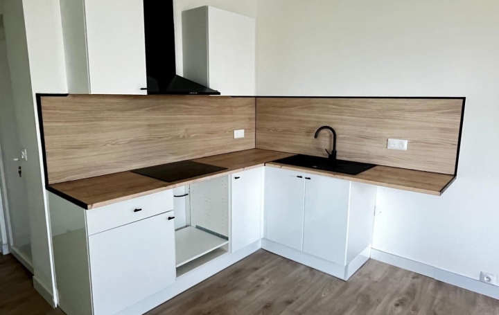 Maison LA TAILLEE (85450)  67 m2 800 € 