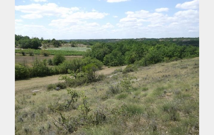 Réseau Immo-diffusion : Terrain  CASTELNAU-MONTRATIER   28 000 € 