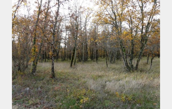 Réseau Immo-diffusion : Terrain  MONTDOUMERC   34 500 € 