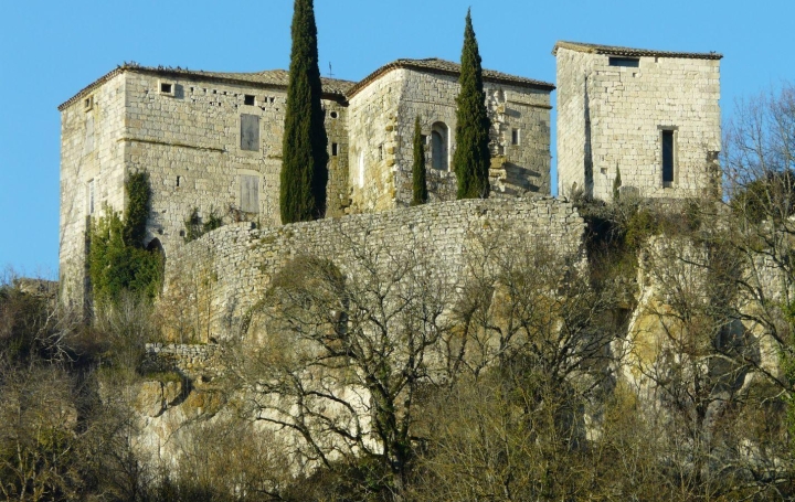 Réseau Immo-diffusion : Maison  FLAUGNAC  300 m2 371 000 € 