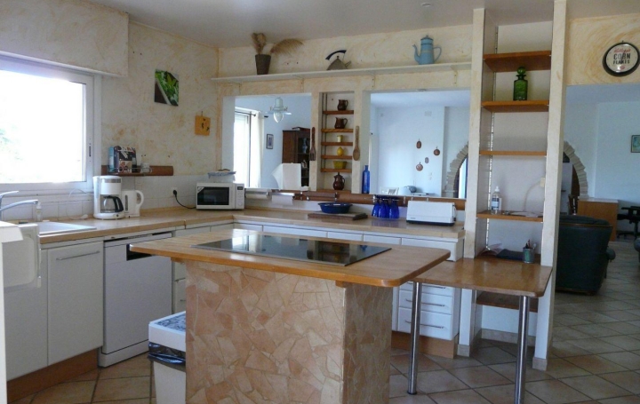 Maison CASTELNAU-MONTRATIER (46170)  250 m2 395 000 € 