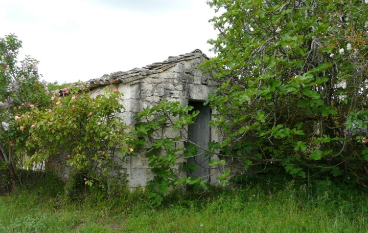 Terrain CASTELNAU-MONTRATIER (46170)   115 000 € 