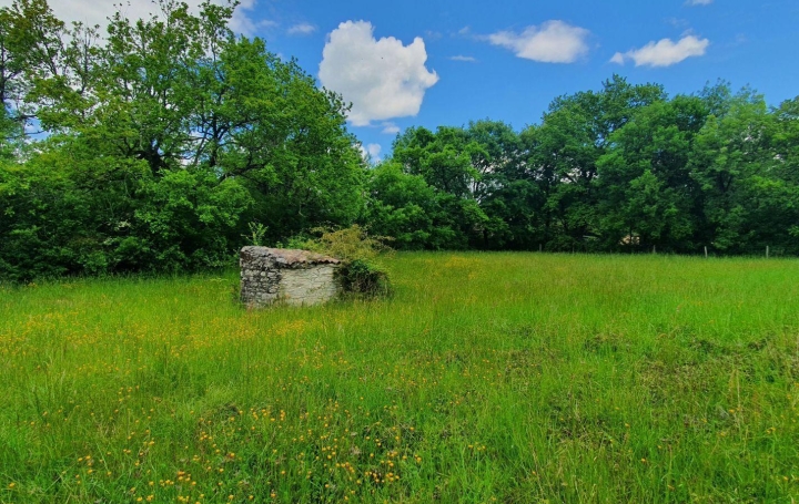 Réseau Immo-diffusion : Terrain  CAYLUS  2 506 m2 36 000 € 