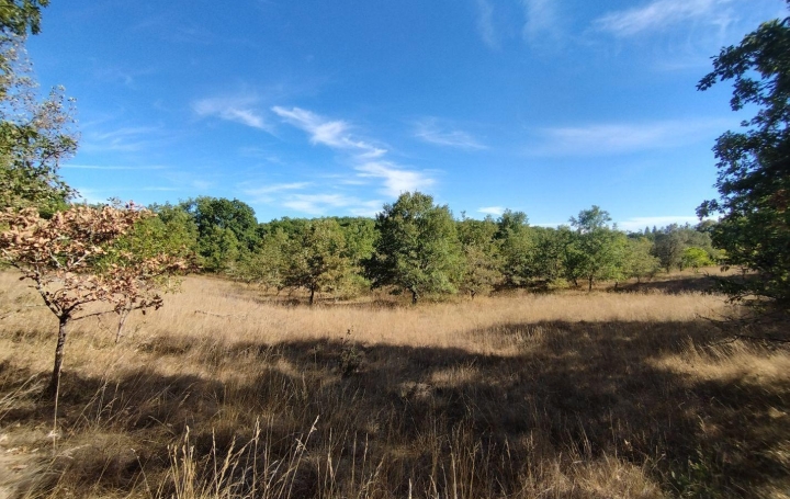 Réseau Immo-diffusion : Terrain  ESCAMPS   64 800 € 