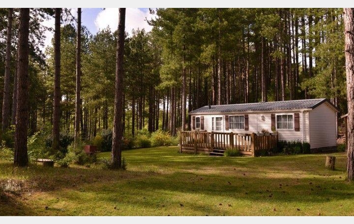 Réseau Immo-diffusion : Activité commerciale  LACHAPELLE-AUZAC   265 000 € 