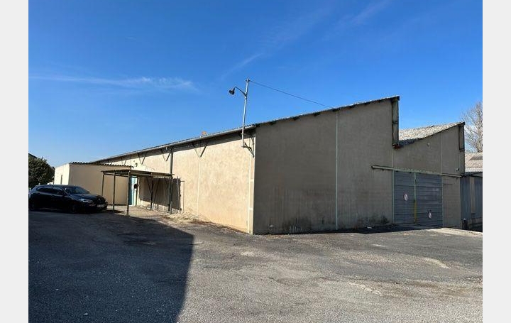 Local commercial SEVERAC-LE-CHATEAU (12150)  1 000 m2 0 € 