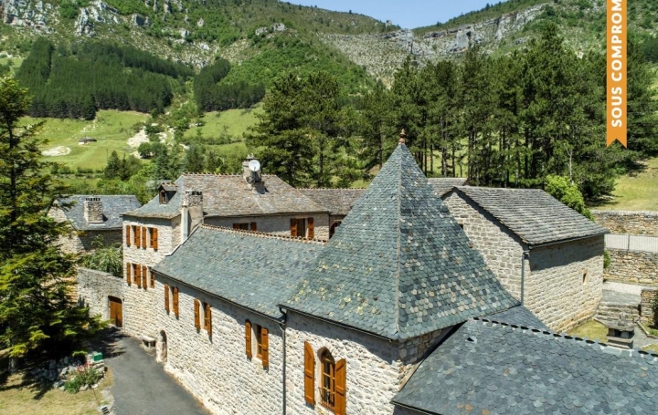 Réseau Immo-diffusion : Domaine  QUEZAC  740 m2 995 000 € 