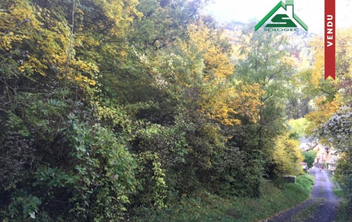 Réseau Immo-diffusion : Terrain  SAINT-BAUZILE   5 000 € 