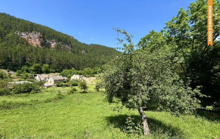 Terrain LANUEJOLS (48000)   33 000 € 