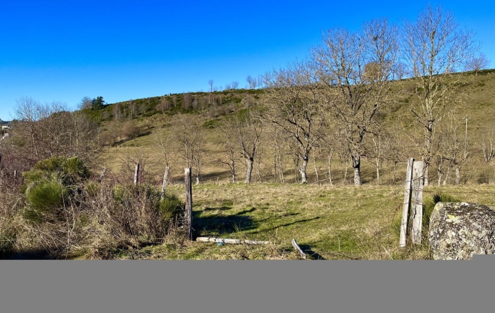 Terrain RIEUTORT-DE-RANDON (48700)   34 000 € 