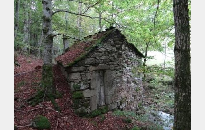 Réseau Immo-diffusion : Maison  ALLENC  13 m2 0 € 