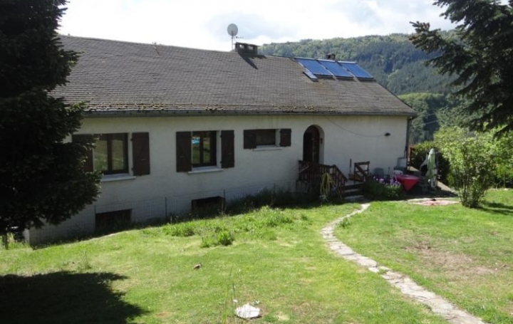 Réseau Immo-diffusion : Maison  BADAROUX  255 m2 210 000 € 