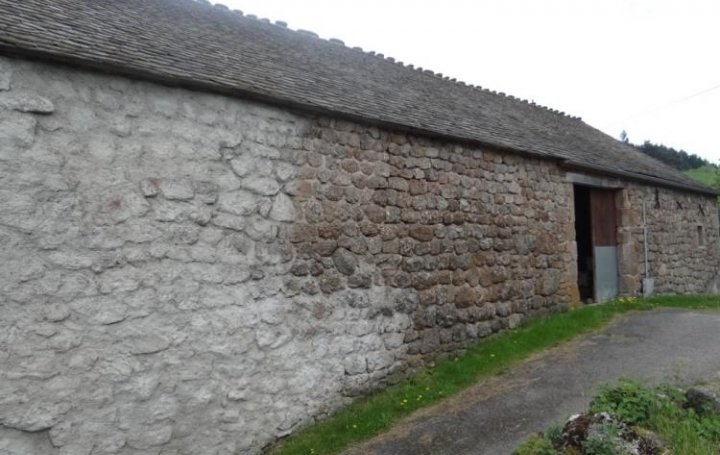 Réseau Immo-diffusion : Maison  ARZENC-DE-RANDON  75 m2 50 000 € 