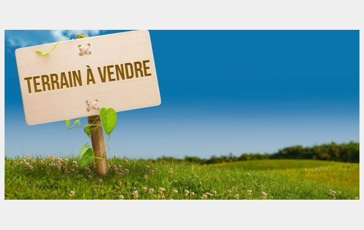 Réseau Immo-diffusion : Maison  SUSSARGUES  100 m2 420 000 € 