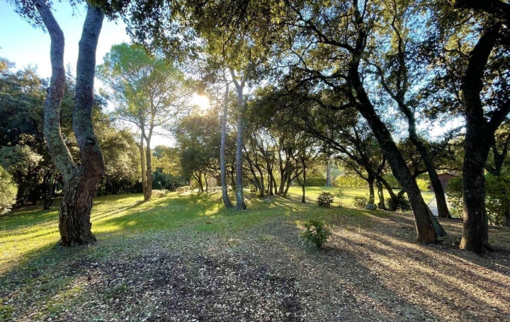 Terrain MONTAUD (34160)  206 m2 621 000 € 