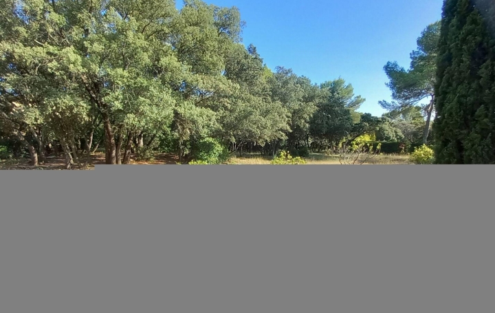 Terrain MONTAUD (34160)  206 m2 621 000 € 