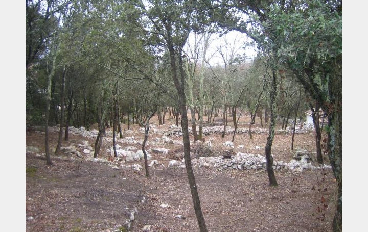 Réseau Immo-diffusion : Terrain  SAINT-HIPPOLYTE-DU-FORT   98 000 € 