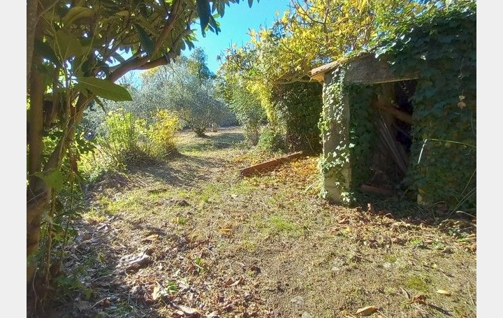 Maison SAINT-MATHIEU-DE-TREVIERS (34270)  95 m2 362 000 € 