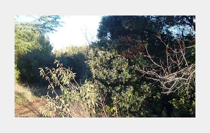 Réseau Immo-diffusion : Terrain  VILLE-SUR-JARNIOUX   23 000 € 