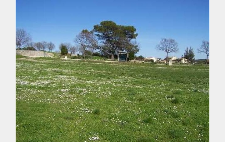 Réseau Immo-diffusion : Terrain  SAINT-JEAN-DE-CUCULLES   230 000 € 