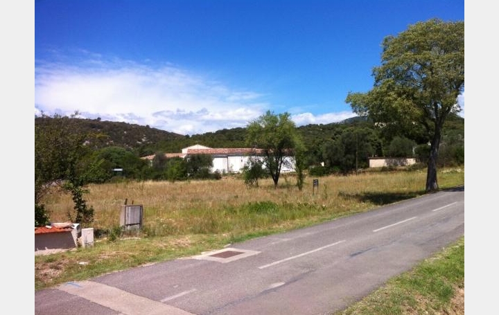 Réseau Immo-diffusion : Terrain  SAINT-JEAN-DE-CUCULLES   240 000 € 