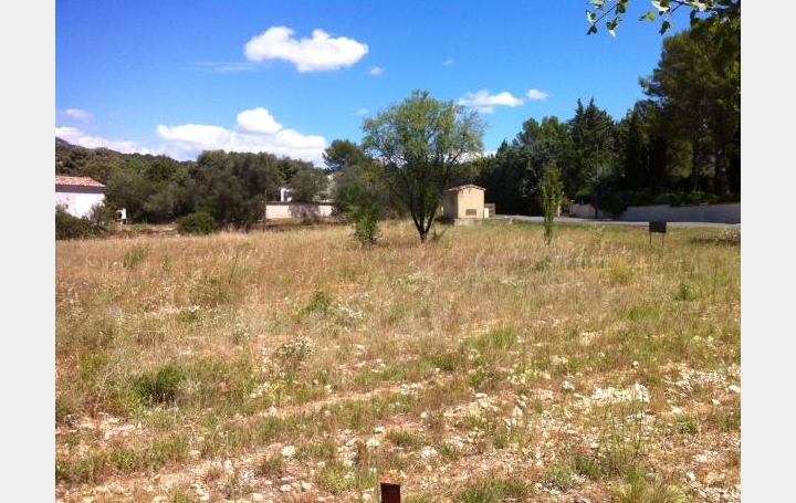 Réseau Immo-diffusion : Terrain  SAINT-JEAN-DE-CUCULLES   240 000 € 