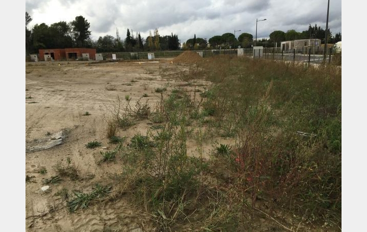 Réseau Immo-diffusion : Terrain  LAVERUNE   175 000 € 